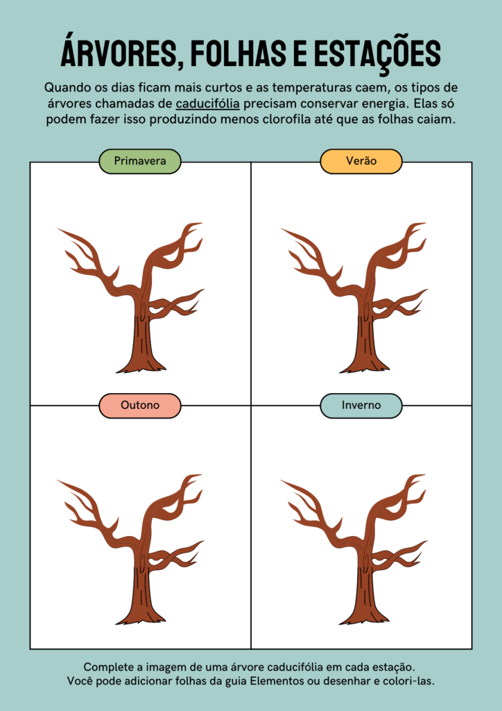 Folha de Atividades Plantas em Diferentes Estações Estilo Contorno Simples Azul Marrom